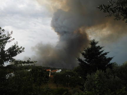 Waldbrand in Portugal &copy; Angelika Wolf